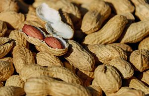 Wettelijk allergeen: Aardnoten