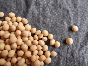 Wettelijke allergeen: Soja